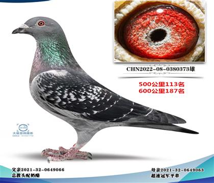 ���־��ܽ�ͷ��500����113��600����187����