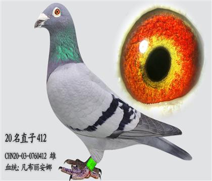 ���������� ����������