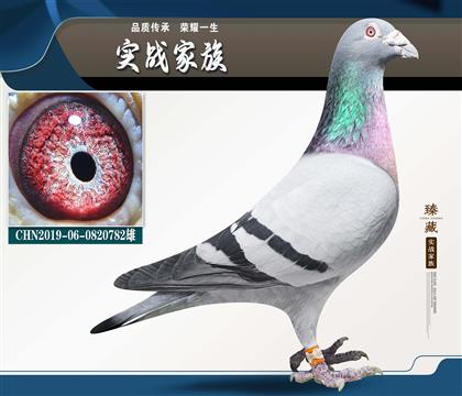 �ֲ����漣32