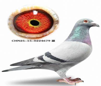 ��.������˹��Ů��ȫ�ֵ�ֱ��X���޺�ȫ�ֵ�ֱŮ