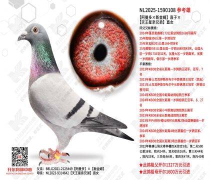 ����������½�ķ��ֱ�ӡ����������ֵ�ֱŮ