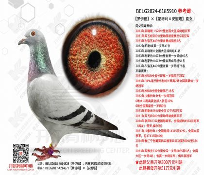 �����¡�������������������ֱŮ