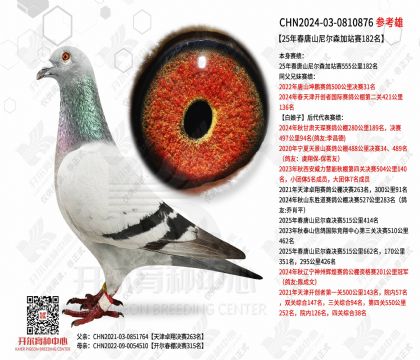 25�괺��ɽ���ɭ��վ��182��