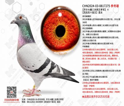 �����������ظ���������������ʮ����ֱŮ