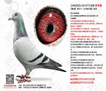 ³��ֱ�ӡ�������ֱŮ