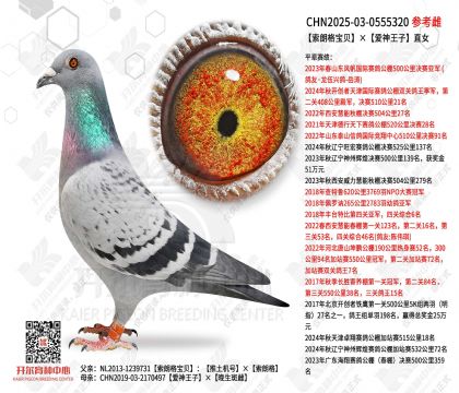 ���ʸ񱦱�����������ֱŮ