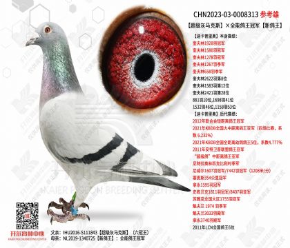 ����������˹���¸���