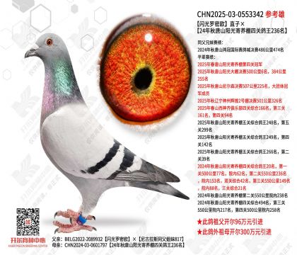 ��������ŷֱ�ӡ�24������ɽ����������Ĺظ���236��