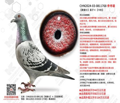 ҹ��ʿֱ�ӡ�����