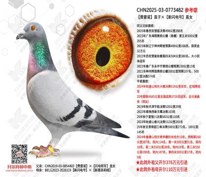 ����ŵֱ�ӡ��������ֱŮ