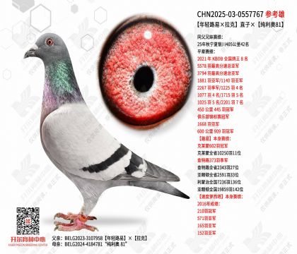 ����·�ס�����ֱ�ӡ�������81