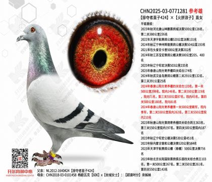 �Ӷ���ֱ��424����ƴ����ֱŮ