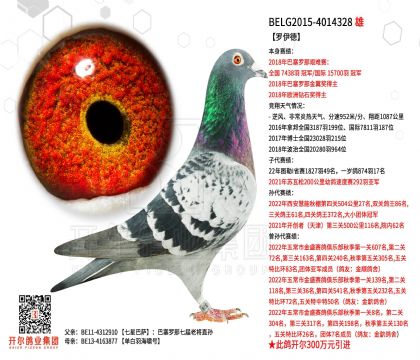 2����-4014328