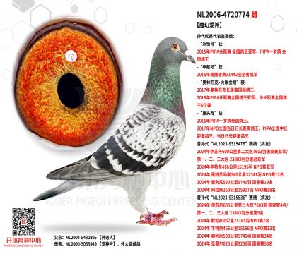 2��ĸNL2006-4720774