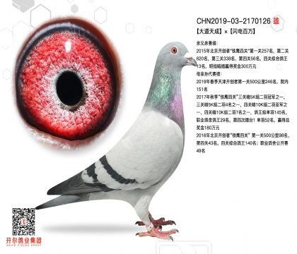 2����-2170126