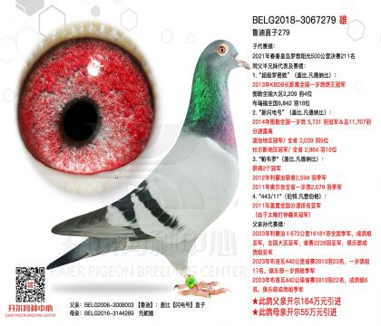 2.����3067279