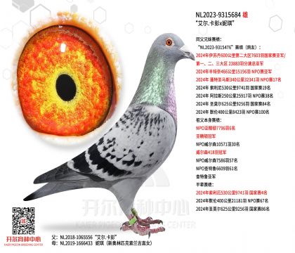 2����NL2023-9315684