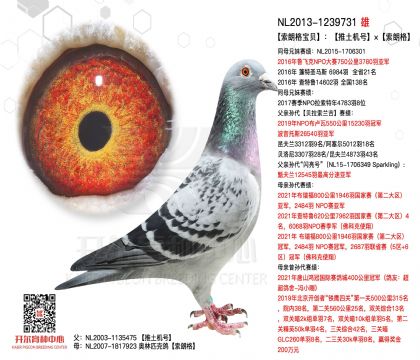 2����NL2013-1239731����