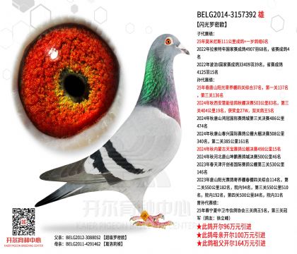 2�游BELG2014-3157392