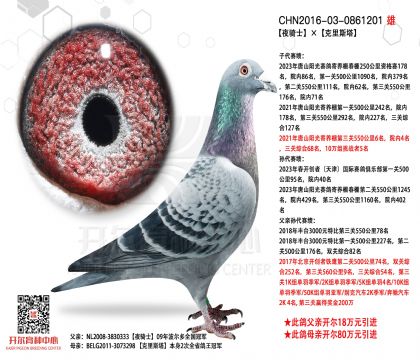 2����-0861201