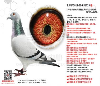 1����22-K01725