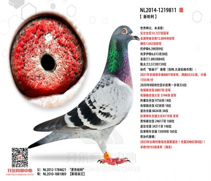 2���游1219811