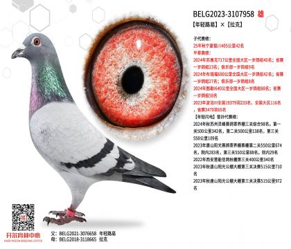 2����BELG2023-3107958