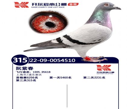 3ĸ��22-09-0054510