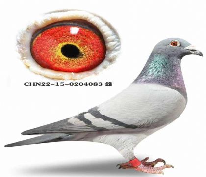 �ƹ������ѡ�����ǲ��ˡ����ض���ֱ��X�����ض���ֱŮ