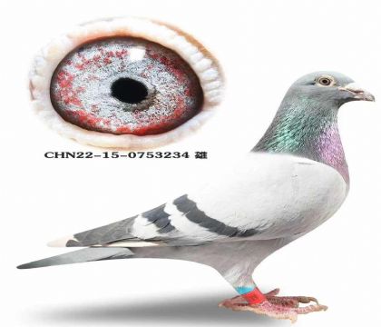 �ƹ����£����ǲ��ˡ�����ƥ��006��ֱ��X�����ض�����Ů