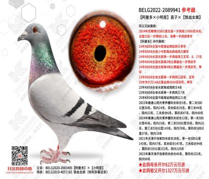 ���������С���ǡ�ֱ�ӡ���ѪŮ��