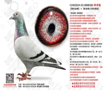 ��ɫ��ķ���½�ķ֮ĸ�׽��