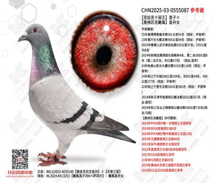 ������ʮ����ֱ�ӡ�����ƥ���Z�Lֱ��Ů