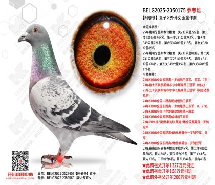 ������ֱ�ӡ�����Ů ��������