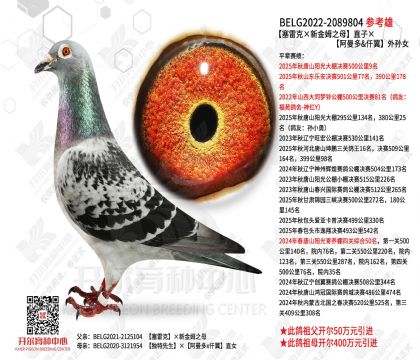 �����׿ˡ��½�ķ֮ĸ��ֱ�ӡ�����������Ů