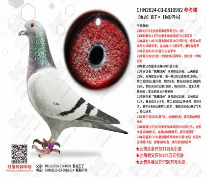 ³��ֱ�ӡ���Ӱ����