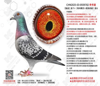 ³��ֱ�ӡ������������������櫡�ֱŮ