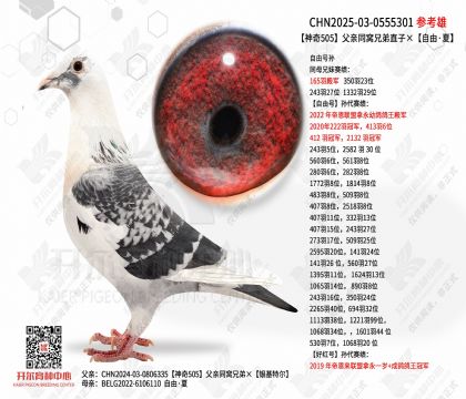 ����505����ͬ���ֵ�ֱ�ӡ����ɡ���