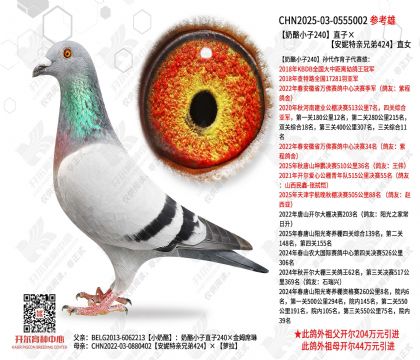 ����С��240ֱ�ӡ����������ֵ�424ֱŮ