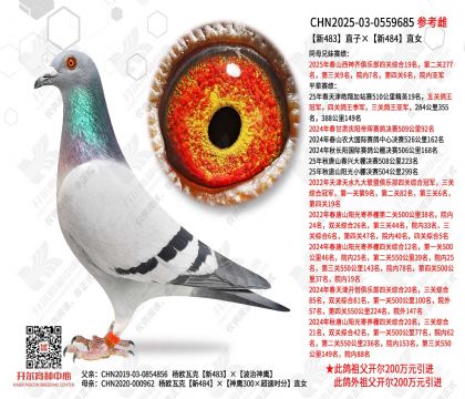 ��483ֱ�ӡ���484ֱŮ