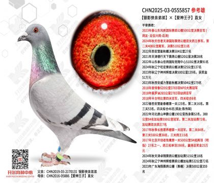 ��Ӱ���׵ܵܡ���������ֱŮ