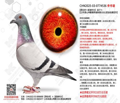 ���Ѳ��������ʱ�֡�ֱ�ӡ�22����ɽ������վ���ھ�