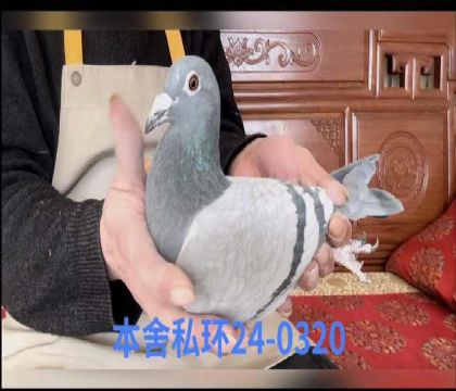 ���׵Ϸ���0320