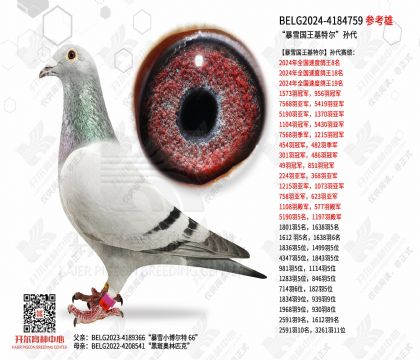 ����ѩ�������ض������