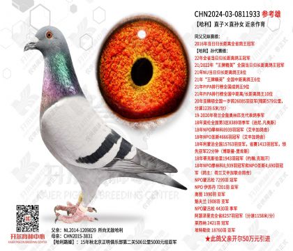 ����ֱ�ӡ�ֱ��Ů