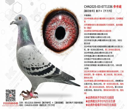 �������ֱ�ӡ�ǧ���