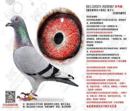 ��ѻ��ض�����ֱܽ��