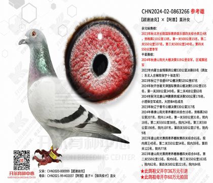 ���ٵϿˡ�����ֱ��Ů