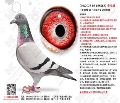 ��484ֱ�ӡ�ֱ��Ů ��������