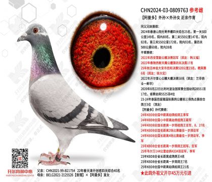 ���������������Ů ��������